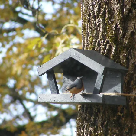 Bed & Breakfast Lou Papagai Saint-Antonin-Noble-Val