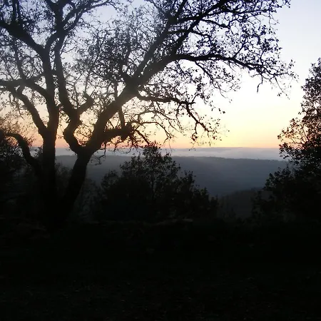 Bed & Breakfast Lou Papagai